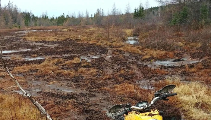 Marsh Motorsports -  Snowmobile Dealer - Grand Falls-windsor
