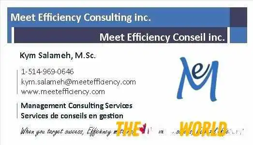 Meet Efficiency Consulting Inc Meet Efficiency Conseil Inc Kym E Salameh By Owner - Sainte-thérèse