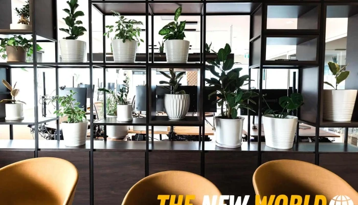 Meira Consulting Inc Inside - Vancouver