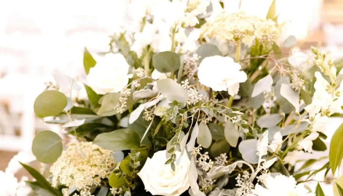 Mels Flowers Where - Arnprior