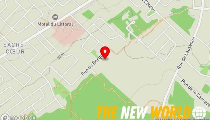 map of Michel Fortin, Technicien Expert Mac Computer support and services in Rimouski