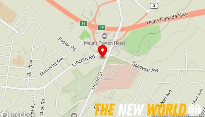 map of Mitchell's Paralegal Svc Legal services in Grand Falls-Windsor