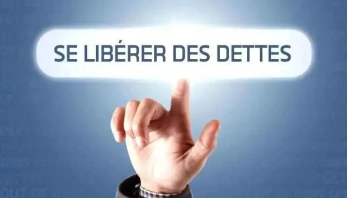 Mnp Dettes Syndic Autorise En Insolvabilite Faillite Proposition Consommateur All - Matane