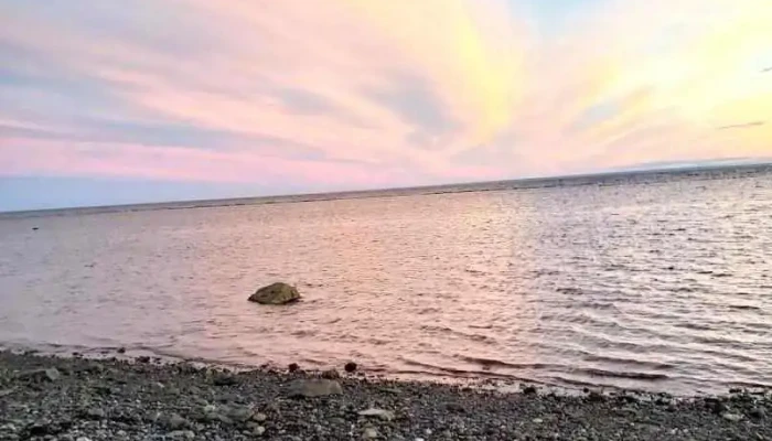 Molson Canada - Bonaventure