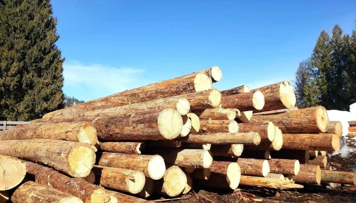 Monticola Forest Ltd - Fruitvale