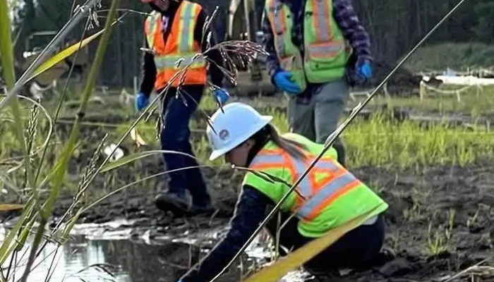 Montrose Environmental -  By Owner - Cold Lake