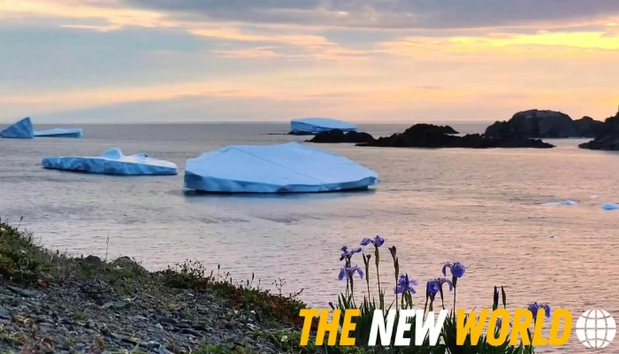 Mountain Ridge Cabins -  Videos - Elliston