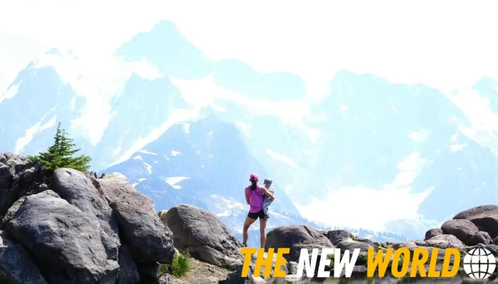 Mountain Top Social Media Consulting -  All - Port Moody