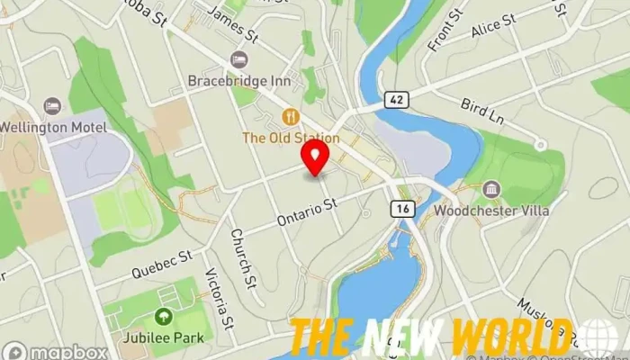 map of Muskoka Futures Business management consultant in Bracebridge