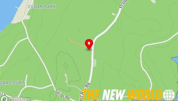 map of New Life Business Solutions Business management consultant in Prospect Bay