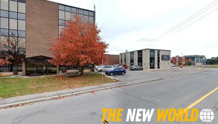 Niewe Consulting Ltd. - Ottawa