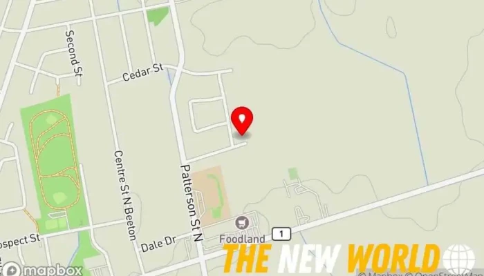 map of NineOne Consulting Business management consultant, Business development service, Coaching center, Life coach, Website designer in New Tecumseth