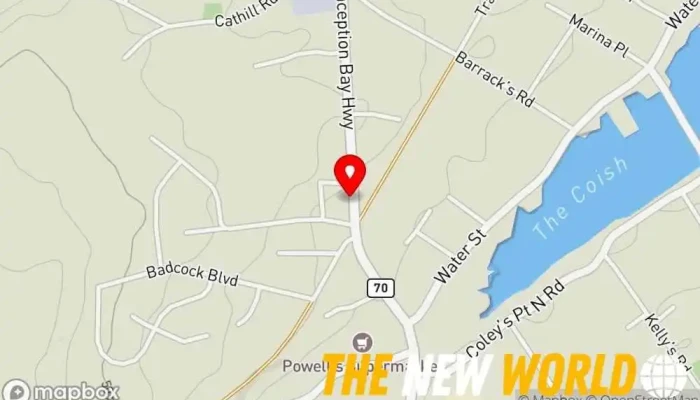 map of Norman & Parsons Surveys Ltd Land surveyor, Marketing consultant in Bay Roberts