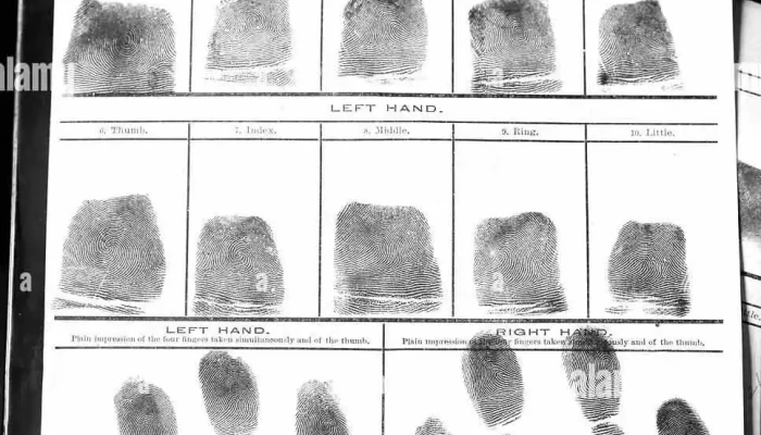 Pacific Fingerprinting Service Abbotsford Appointment Only No Walk Ins By Owner - Abbotsford