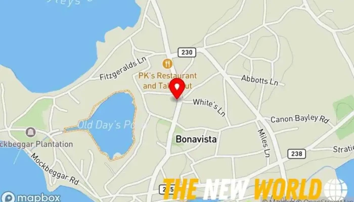 map of Paint Shop Paint store, Blinds shop, Flooring store, Interior Decorator, Wallpaper store in Bonavista