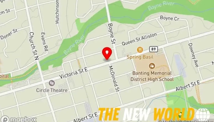 map of Pest Kings Wildlife & Pest Control Alliston Pest control service, Animal control service in Alliston