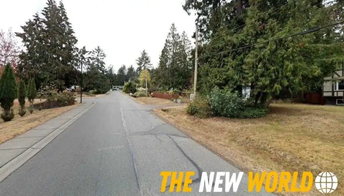 Points North Design Inc - Parksville