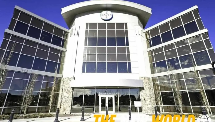 Razor Sharp Consulting - Calgary