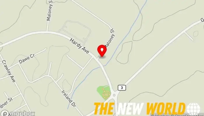 map of REL (The Safety Experts) Engineering consultant in Grand Falls-Windsor