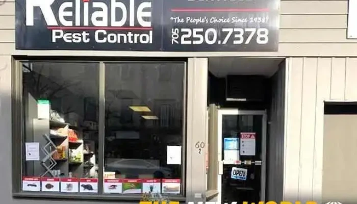 Reliable Pest Control Alliston -  All - Alliston