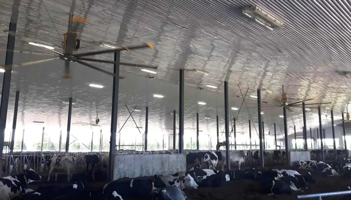 Robert J A Electricien Inc -  Inside - Ange-gardien
