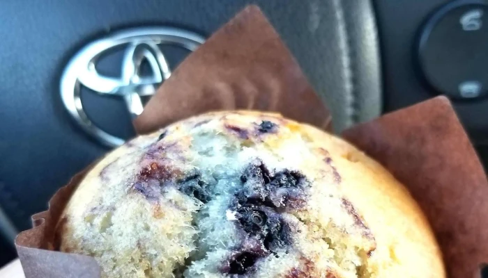 Robins Donuts Bonavista - Bonavista