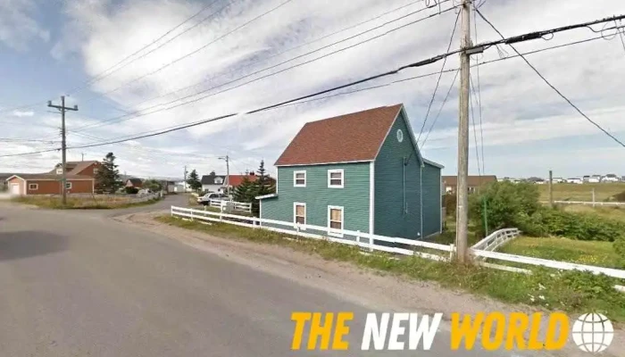 Salted Blonde Studio - Bonavista