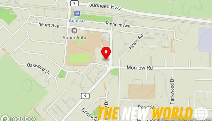 map of Simple Web Solutions Website designer in Agassiz