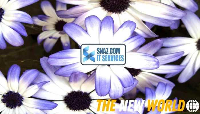 SnazCom It Services Ltd. - Canada