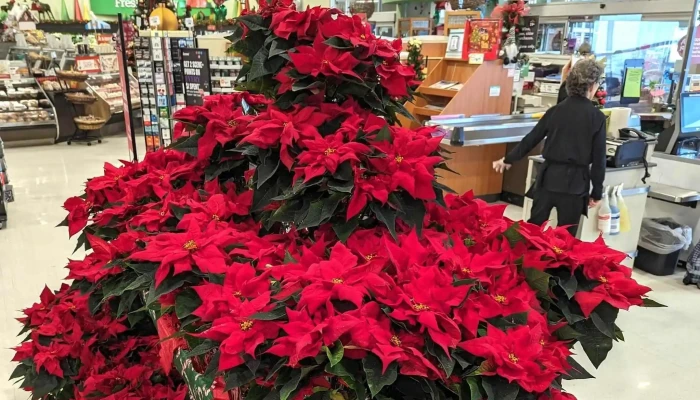 Sobeys Amherstburg -  Number - Amherstburg