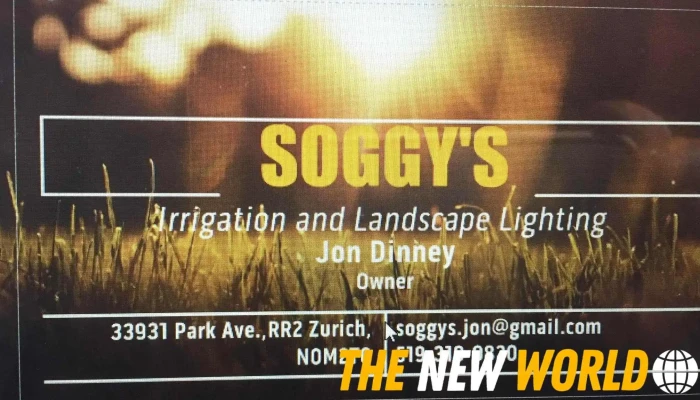 Soggys Irrigation Landscape Lighting By Owner - Zurich