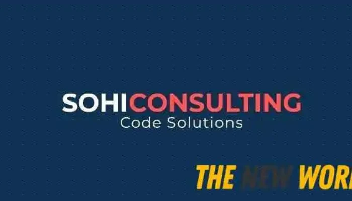 Sohi Consulting Code Solutions By Owner - Abbotsford