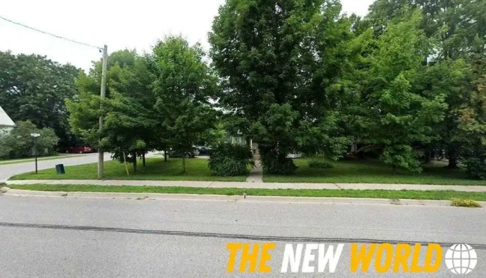 Springwater Chamber-Commerce - Elmvale