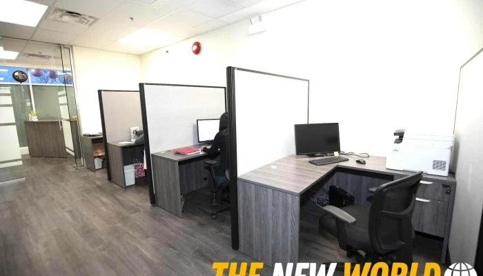 Stepwise Immigration Services Ltd -  Inside - Delta