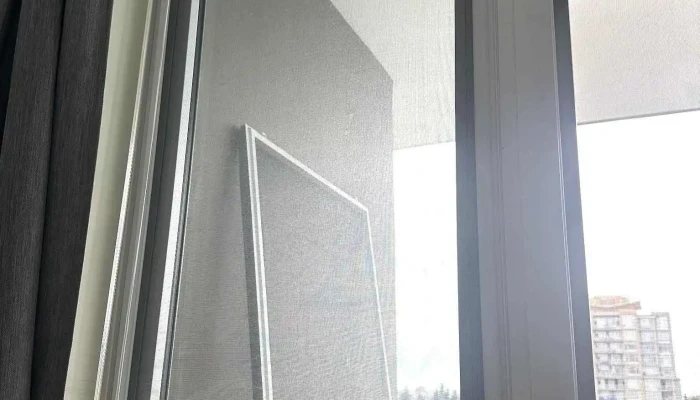 Telstar Window Service -  All - Agassiz