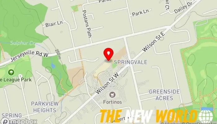 map of The Blaufus Group Inc. Consultant in Ancaster