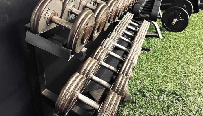 The Garage Gym -  By Owner - Amherstburg