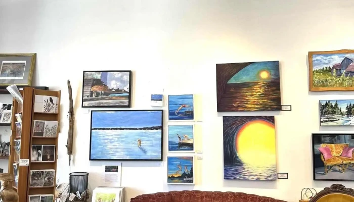 The Muse Gallery Cafe Latest - Bancroft