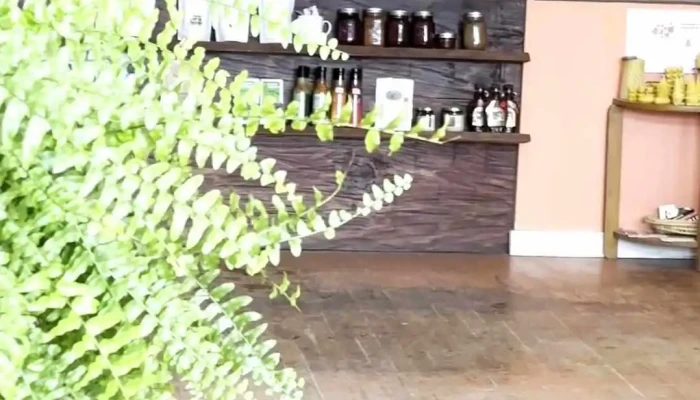 The Muse Gallery Cafe Videos - Bancroft