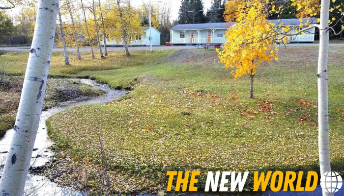 The Oasis Motel -  Videos - Botwood