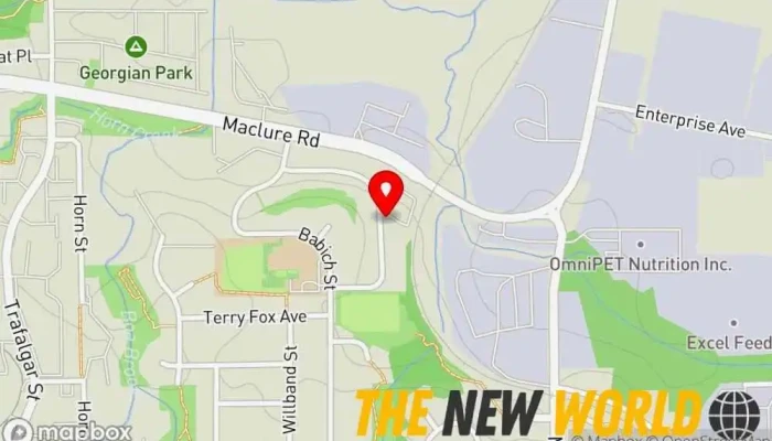 map of The Office Delegate Website designer, Business administration service, Transcription service, Typing service, Web hosting company in Abbotsford