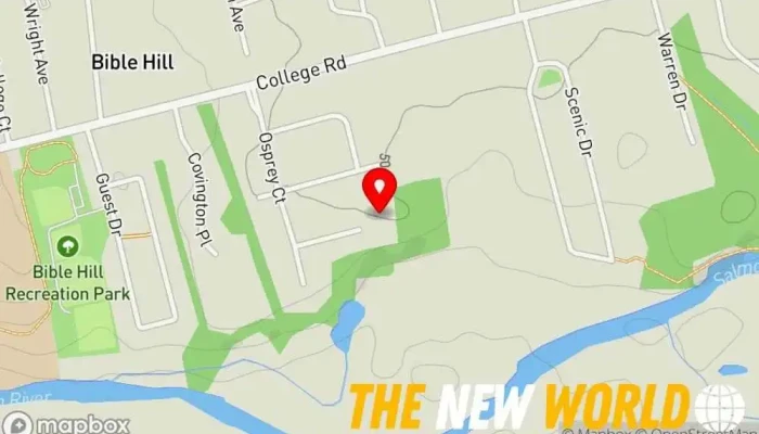 map of Thyagrissen Consulting Ltd Agricultural service, Business management consultant in Truro
