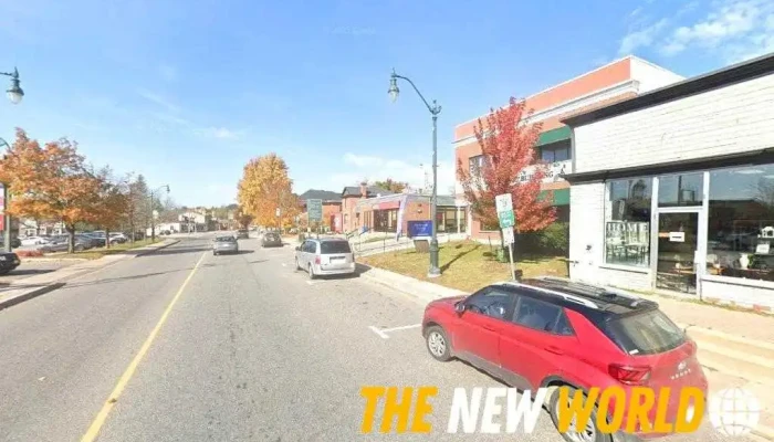 Tinti Llp -  Principal - Bracebridge