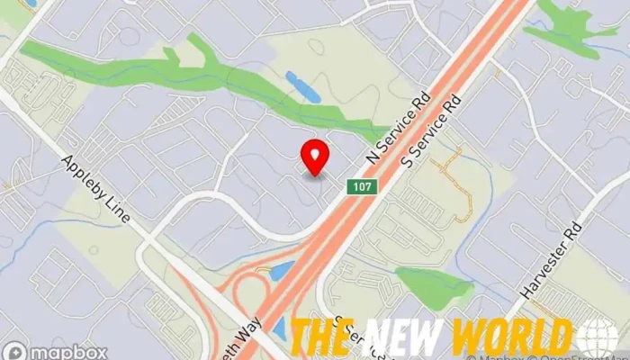 map of Toronto Consulting Services Business management consultant in Burlington