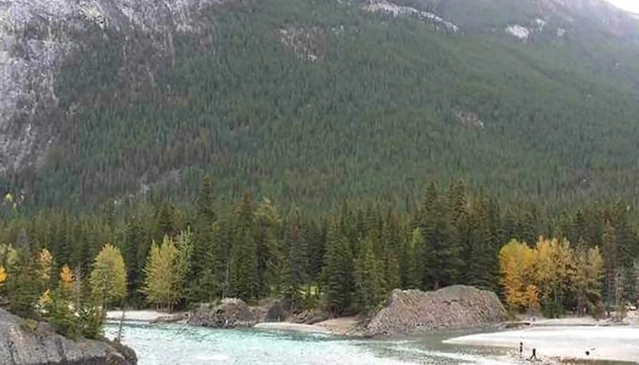 Town Of Banff -  Photos - Banff