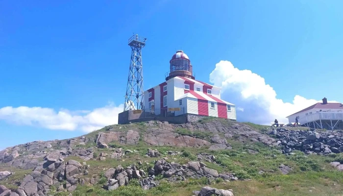 Town Of Bonavista -  Landscape - Bonavista