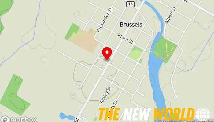 map of Treehouse Spirit Collective Psychic in Brussels