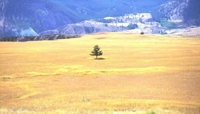 Triton Environmental Consultants Ltd. - Kamloops