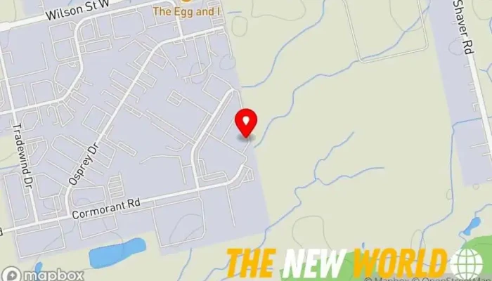 map of Veolia Water Technologies & Solutions Industrial consultant in Ancaster